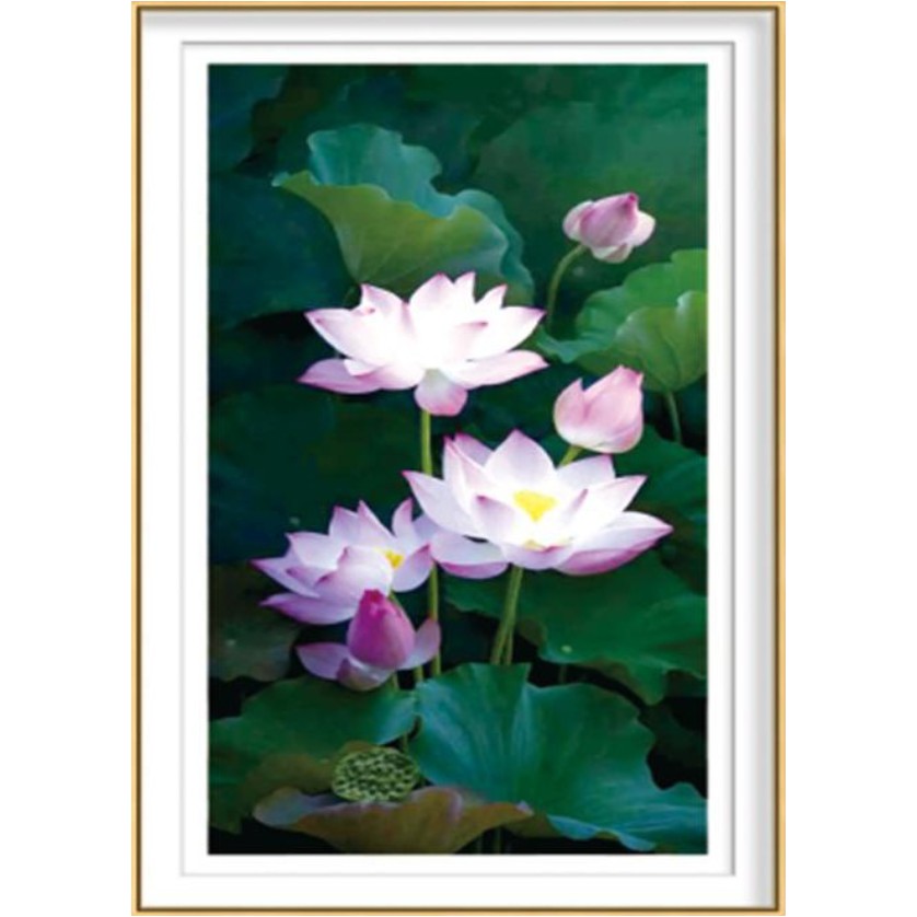 Tranh Đính Đá HOA SEN (ĐÁ ABC CAO CẤP). Kích Thước: 90cm x 50cm