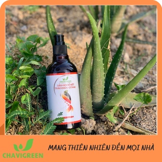Dầu gội Bồ Kết Thảo Dược Cô Đặc Chavigreen ngăn rụng tóc kích thích mọc tóc 300ml