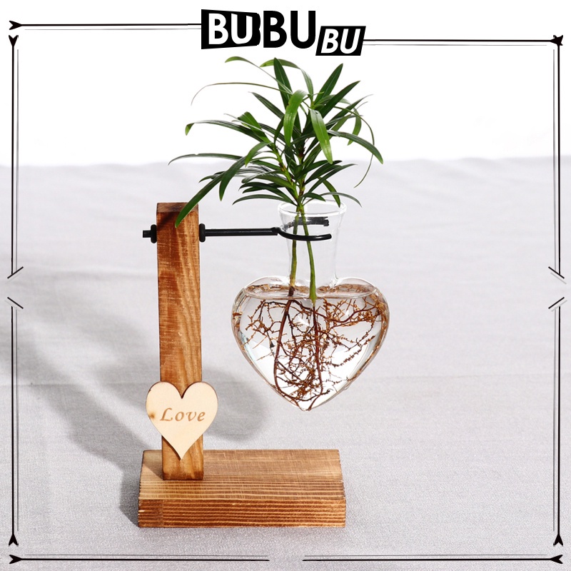 Chậu Trồng Cây Thủy Sinh Bằng Thủy Tinh Kèm Giá Đỡ Gỗ Để Bàn