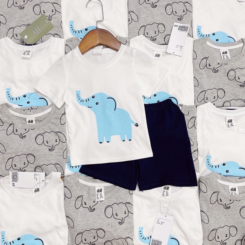 Set 2 bộ cotton bé HM bé trai