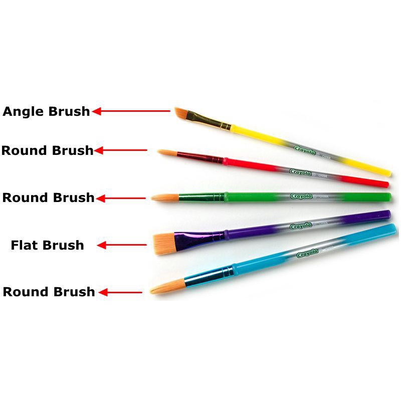 BỘ 5 CỌ (5 size) TÔ MÀU NƯỚC Crayola 5ct Paint Brush Variety Pack