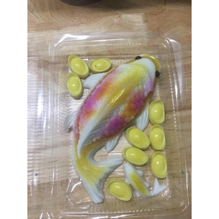 Hộp Nhựa Nắp Gập Hình Chữ Nhật 22.5 Cm X 16 Cm Set 10 Hộp