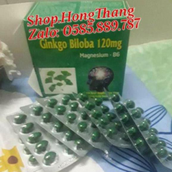 Ginkgo Biloba 120mg Bổ Sung Dưỡng Chất Cho Não Q10 100 viên