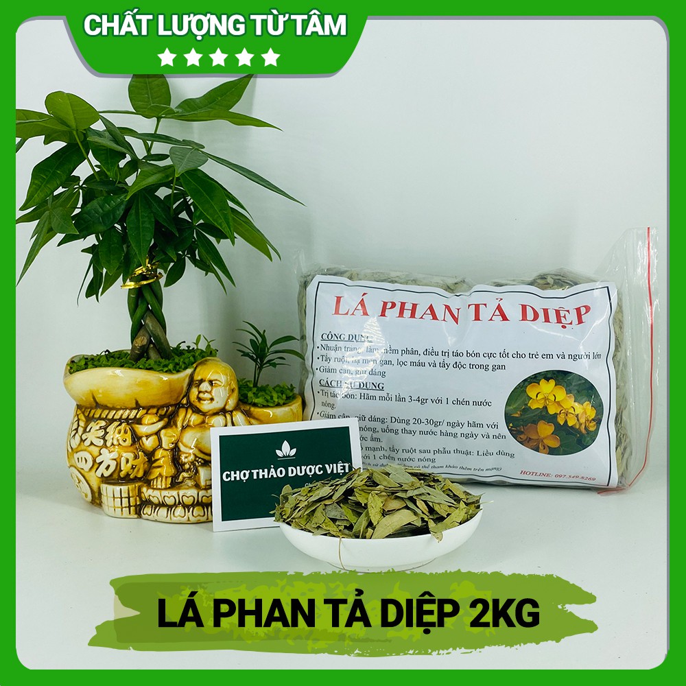 Phan tả diệp 2kg ( Lá phan tả diệp khô, thơm hỗ trợ nhuận tràng, giữ gìn vóc dáng) - Chợ Thảo Dược Việt