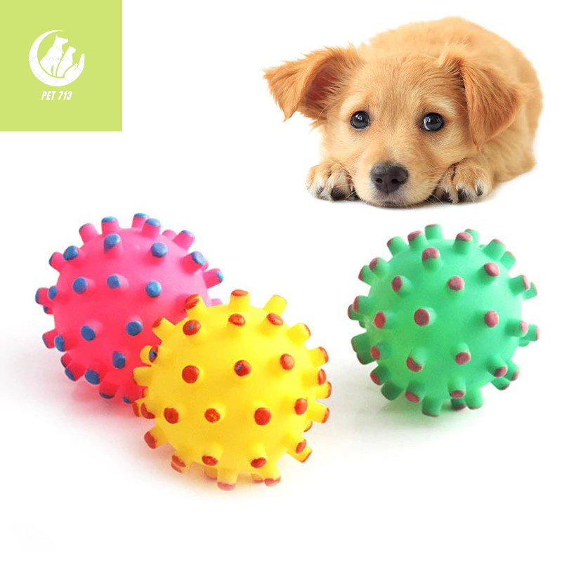 Đồ chơi xương gặm cao su cho chó mèo