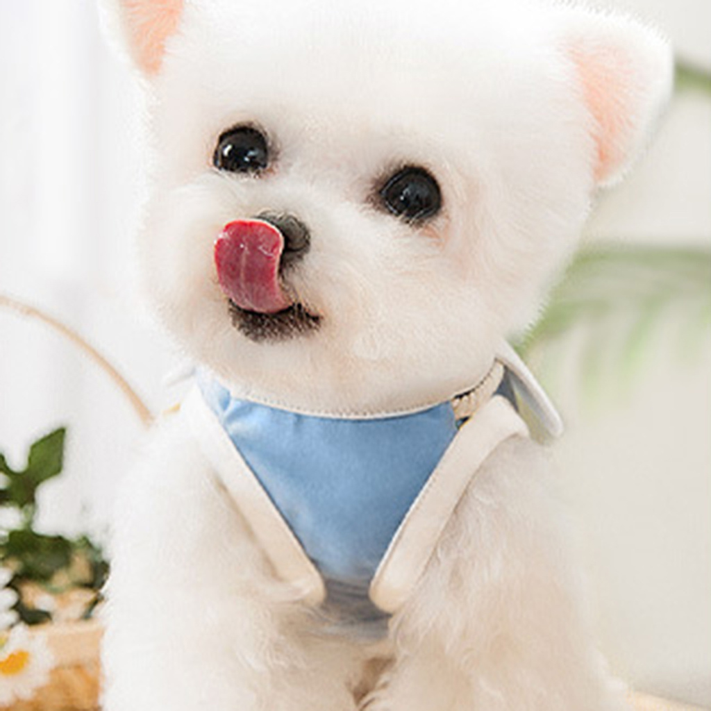 Áo cotton dễ thương xinh xắn cho thú cưng