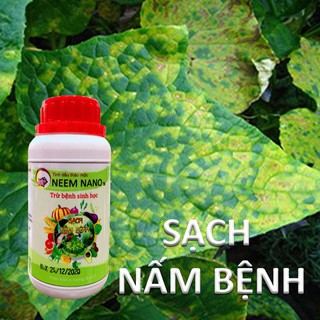 Trừ Nấm Bệnh hại cây trồng NEEM NANO. Khỏi lo Thán thư, Rỉ sắt, Đốm đen, Vàng lá, Phấn trắng Thối nhũn. 100% Thiên Nhiên