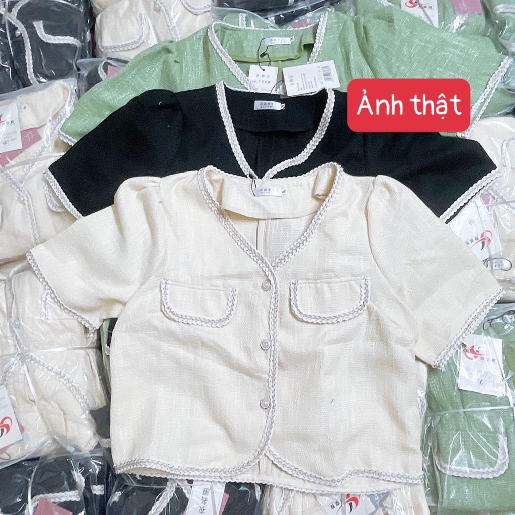 Áo dạ viền cộc tay 3 màu có bọc cạp