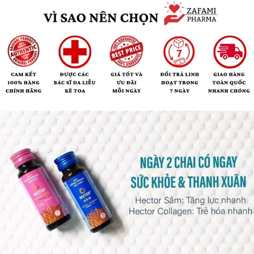 Hector Collagen đông trùng hạ thảo nước sâm đẹp da chính hãng bồi bổ sức khỏe  Unison Shop