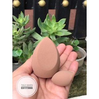 Mút tán nền Celin