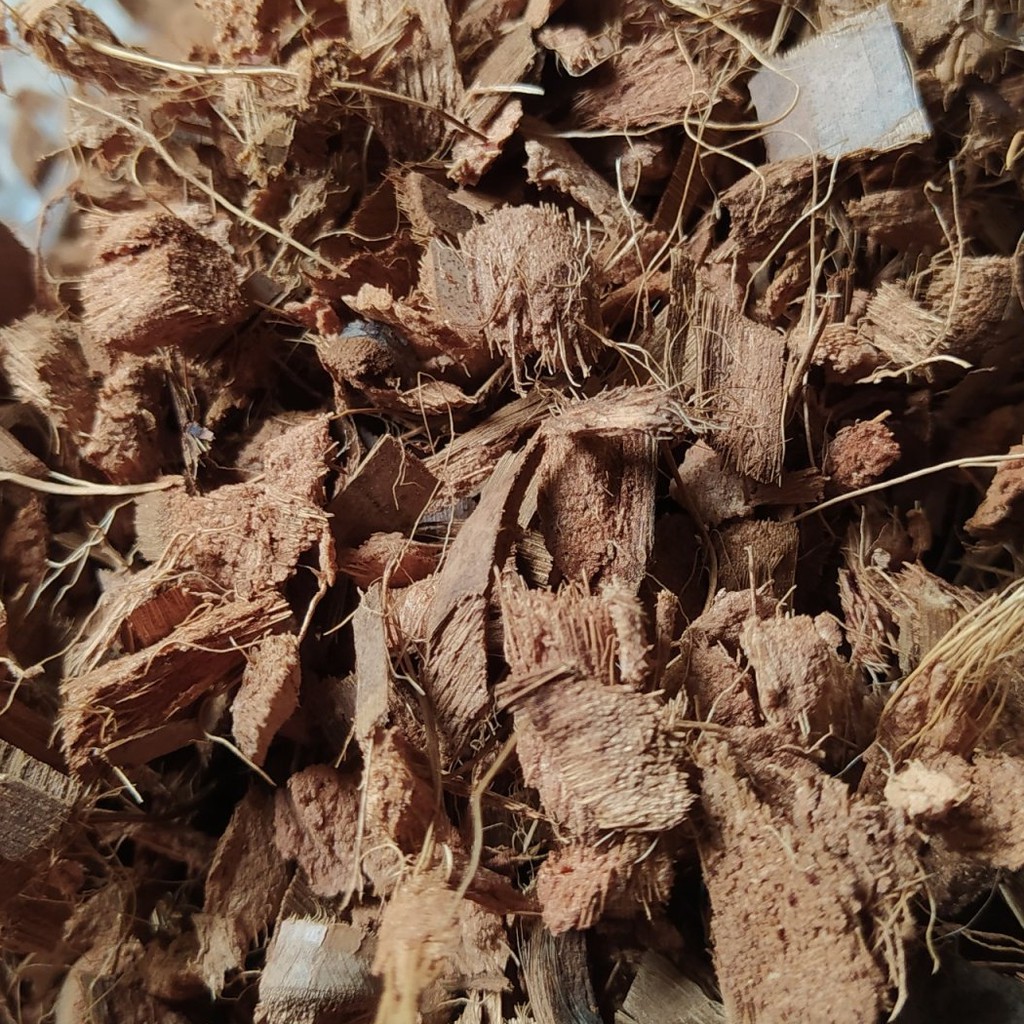 Xơ dừa miếng Mega Mulch , Hàng xuất khẩu Châu Âu, Mỹ, Canada - Giá thể trồng cây