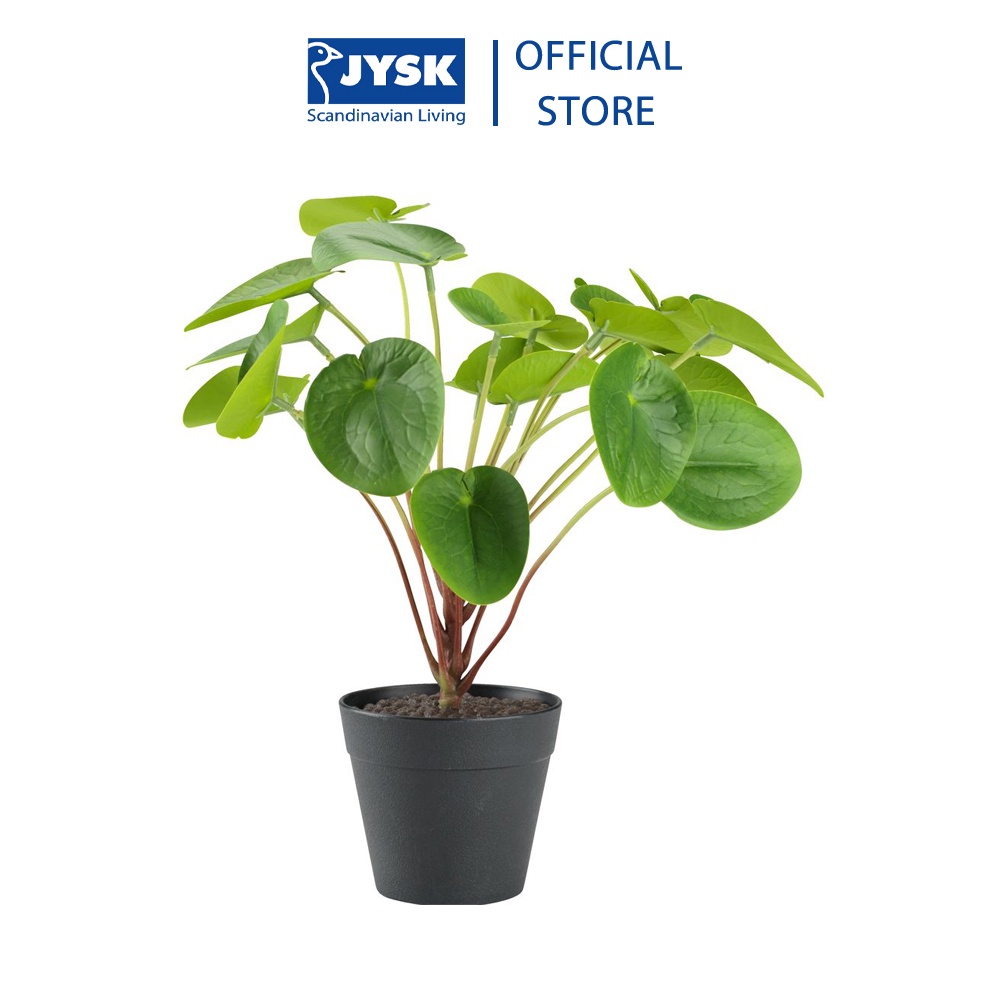 Cây trang trí | JYSK Mikkel nhựa xanh lá | DK23xC27cm