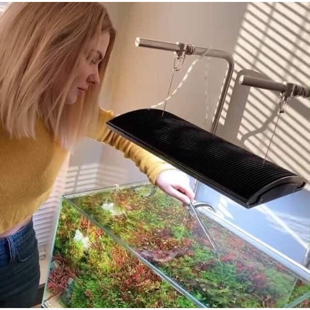 Đèn led thủy sinh Week  Ark