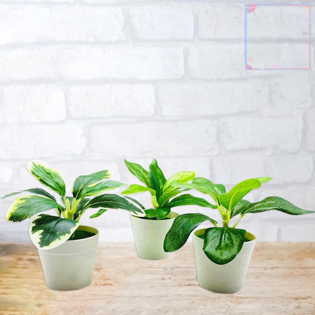 Chậu Cây Cảnh Nhân Tạo Bằng Nhựa Sống Động Trang Trí Nhà Cửa