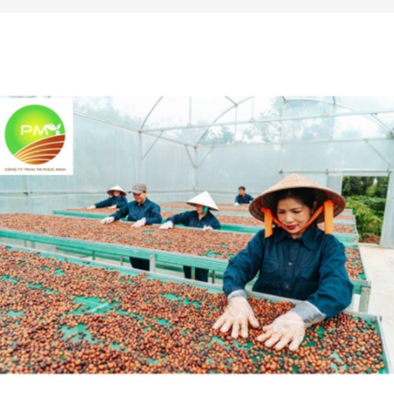 Túi thơm cà phê treo xe ô tô,xe hơi tủ quần áo, phòng khách, phòng bếp khử mùi ẩm mốc hiệu quả