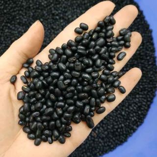 Đỗ đen xanh lòng hạt nhỏ 59k/1kg