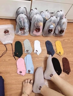 Tất hình con gấu