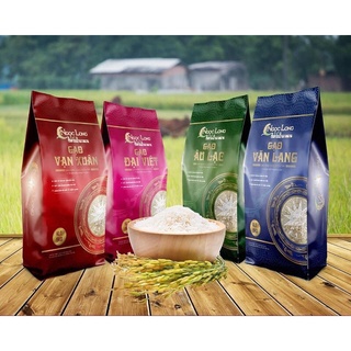 Gạo thơm thượng hạng Vạn Xuân 5kg - ST25 lúa tôm