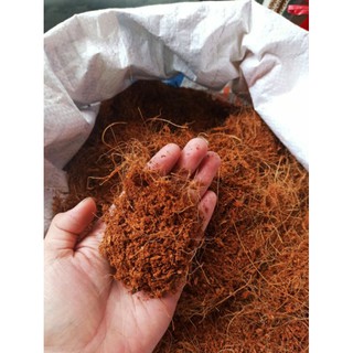 xơ dừa trồng cây gói 100g