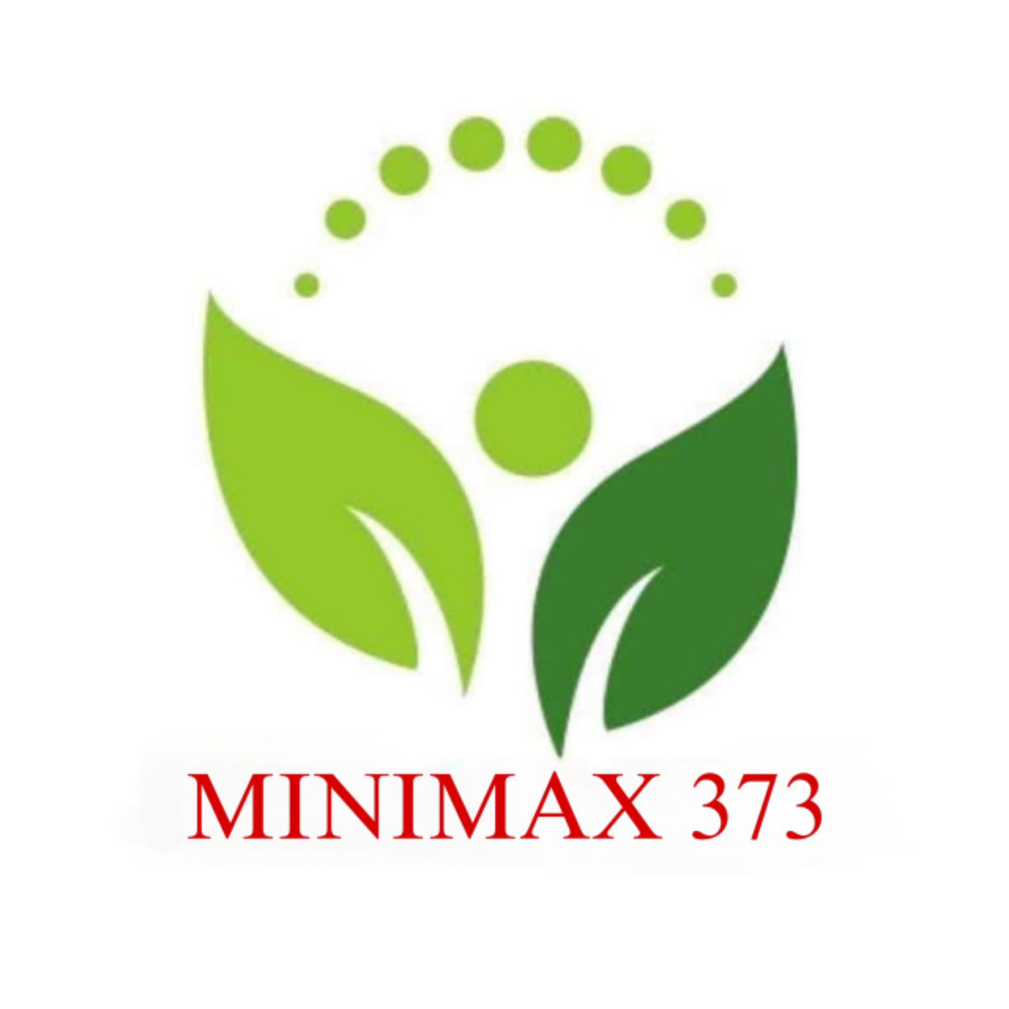 Minimax373