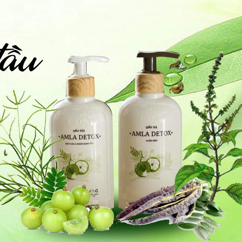 Dầu Gội Xả Sạch Gàu, Ngăn Rụng Tóc, Dưỡng Tóc Organic Amla Detox