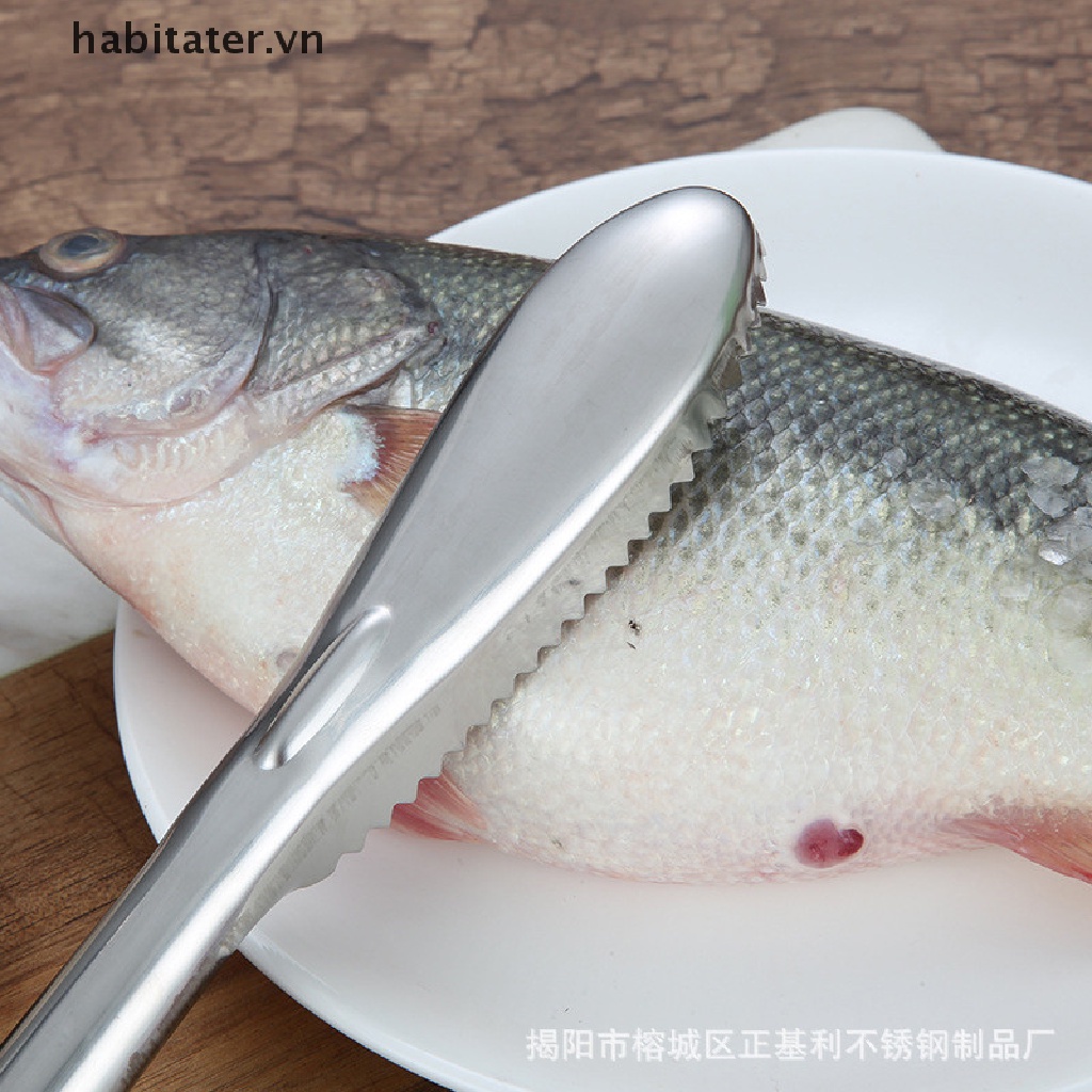 Tater Dụng Cụ Làm Sạch Vảy Cá Nhanh Chóng Tiện Lợi