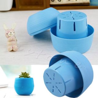 Chậu cây mini ( 1 chậu)