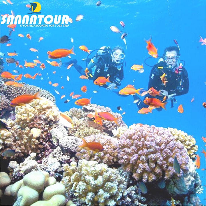 Toàn Quốc [E-voucher] Tour Du Lịch Đà Nẵng - Hội An - Bà Nà Hills - Cù Lao Chàm 4N3Đ