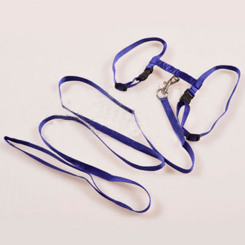 Đai lưng kèm dây dắt mèo cưng tiện dụng