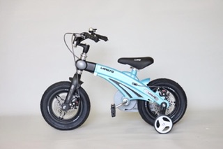 Xe đạp trẻ em LANQ FD