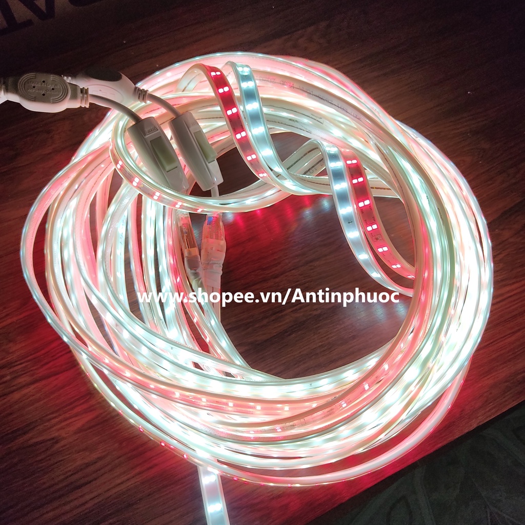 Đèn led dây trang trí ( Tặng 4 nguồn ) cuộn dài 100 mét -Dây đèn led 2 hàng đôi 2835 hắc trần , tiktok ,quấn cây các màu