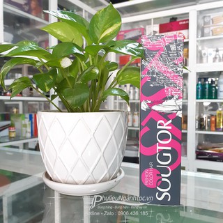 Thuốc nhuộm tóc Sougtor