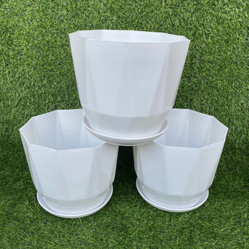 COMBO 5 Chậu nhựa trồng cây kim cương tròn kèm đĩa giả sứ để bàn cực xinh