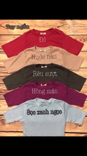 Áo thun zara hình phía sau
