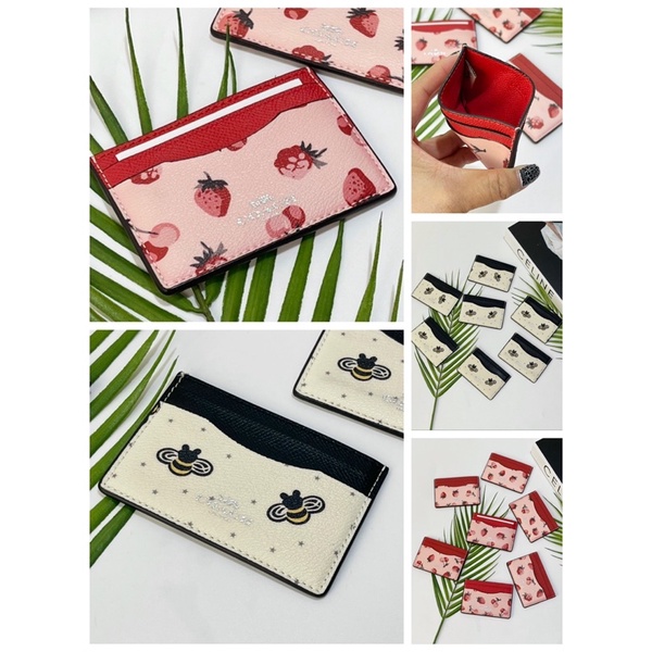 TNS-Ví cardholder mini Coashi-chất da cao cấp-phối màu trẻ trung