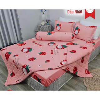 (Chat chọn mẫu) Bộ Ga Gối Chăn Hè polycoton 5 món
