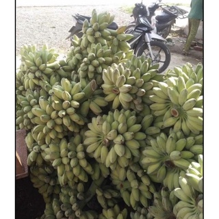 Combo 5kg Chuối Sáp Dẻo Ngon