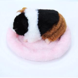 Đệm lông mềm mại dành cho chuột hamster