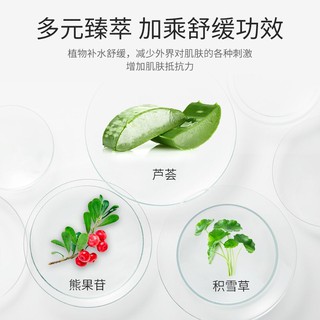 HỘP 5 MIẾNG MẶT NẠ NHA ĐAM