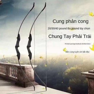 Hợp chất cung và mũi tên thật dành cho người lớn trường bắn bộ đồ chơi súng cao su Daquan định kỳhjy