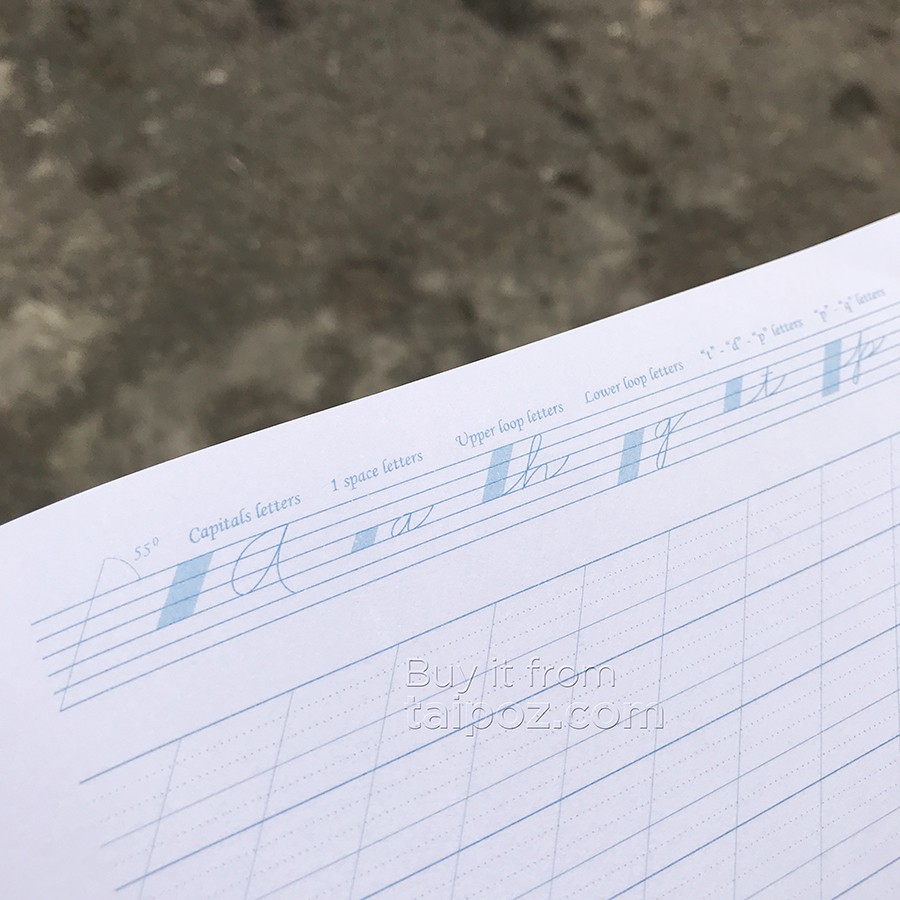 [ TAIPOZ ] - Sổ luyện viết CALLIGRAPHY - Spencerian & Business Cursive [ Hãng Hachiko ]