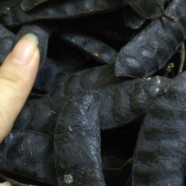 Bồ kết khô 1kg