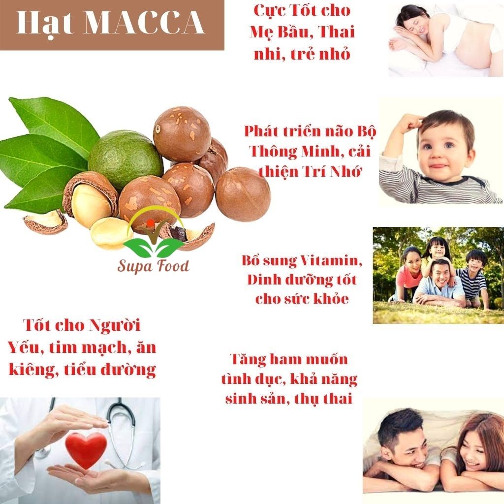 Nhân Macca - Hạt MACCA đã tách vỏ, Sấy chín, Ngon Giòn Rụm, Nhân Size To, Mẩy, Trắng Thơm - OneFood68