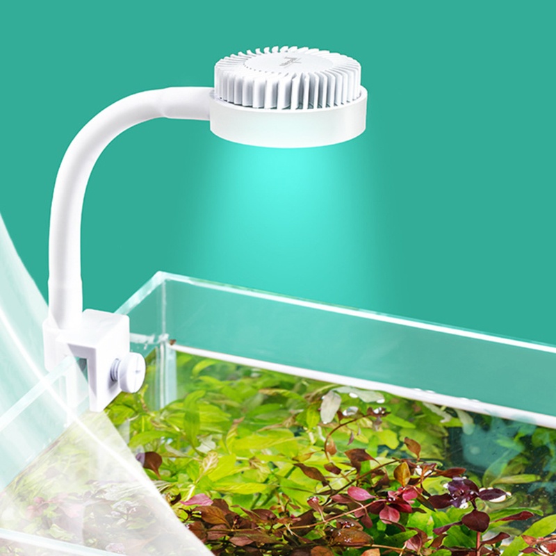 Đèn LED trang trí bể cá