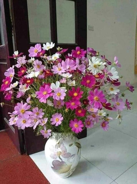 Hạt sao nhái  10k 100 hạt