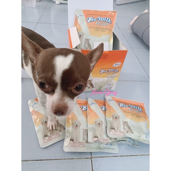 Sữa Bột Cho Chó Mèo Bio-milk 100gr - Xiuxiu Giang