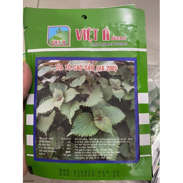 Hạt giống Tía Tô