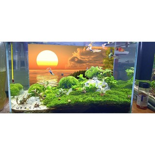 [Tặng Đồ Dán+Sticker] Tranh 3d dán bể cá trang trí bể cá nhiều kích thướt chọn lựa mã tranh