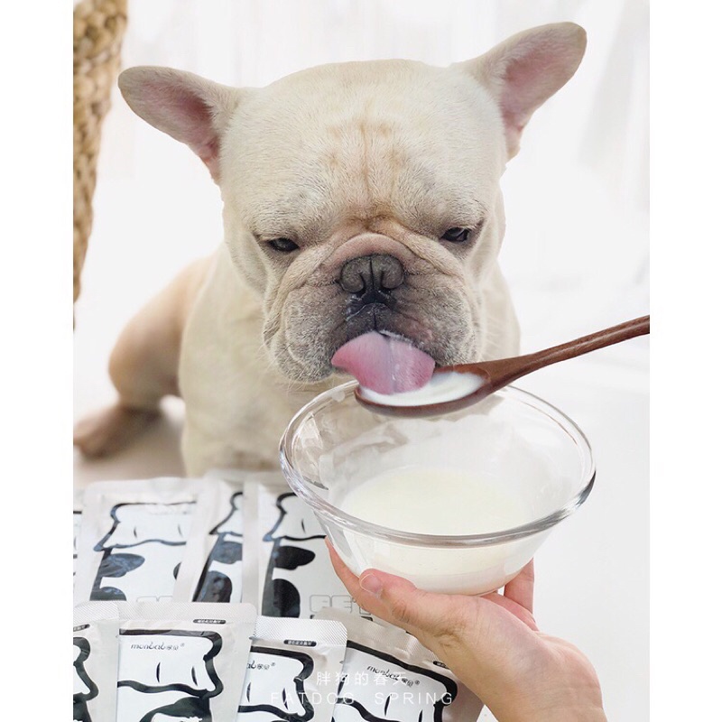 SỮA CHUA TĂNG CƯỜNG MIỄN DỊCH,TIÊU HOÁ CHO CHÓ MÈO MONBAB 50g