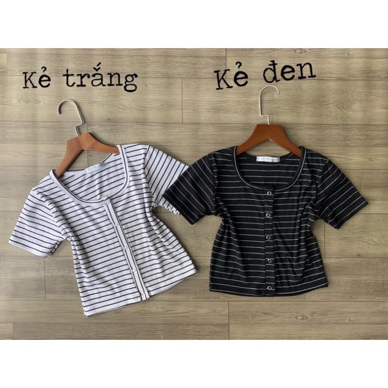 Áo Thun Croptop Tay Ngắn Len Tăm Phối Cúc Kim Loại Đen Trắng Da Bò Xanh Rêu Đỏ Đô Hồng Kẻ Sọc SHTACR01